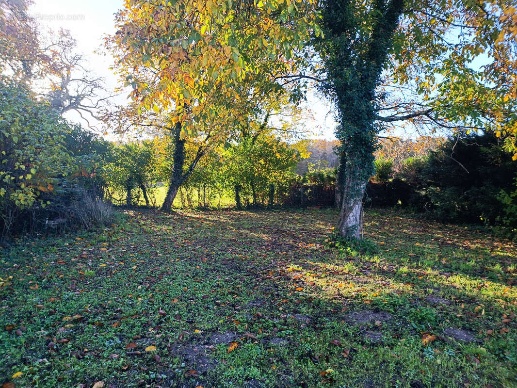 Maison à JOUET-SUR-L'AUBOIS