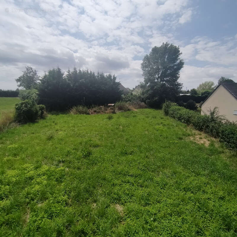 Maison de campagne ! - photo 19
