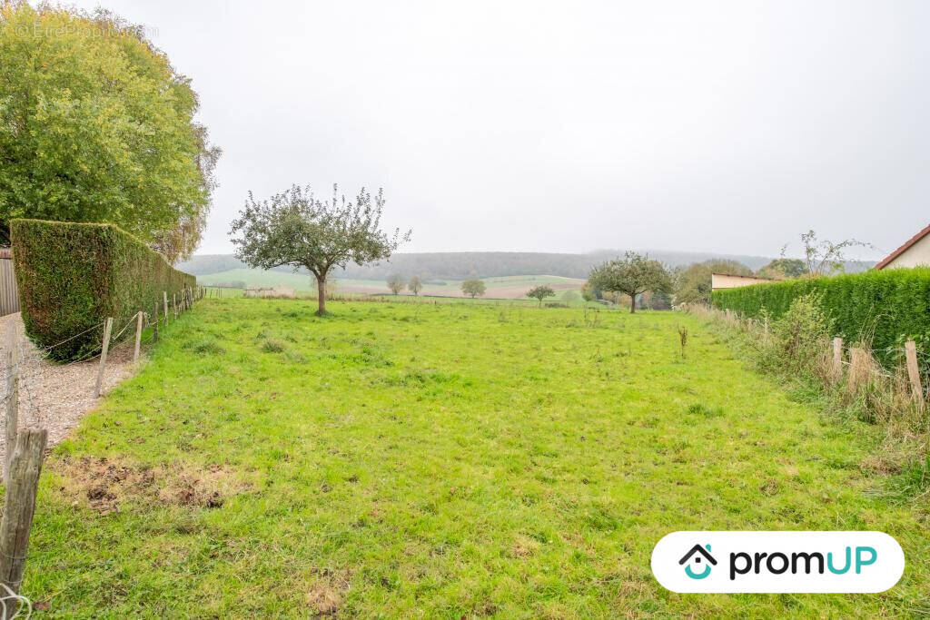 Terrain à RIEUX