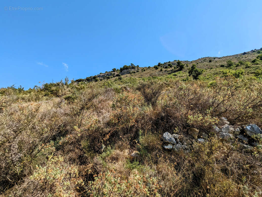 Terrain de 68490 m2 NON CONSTRUCTIBLE, Vence 06140 - photo 11