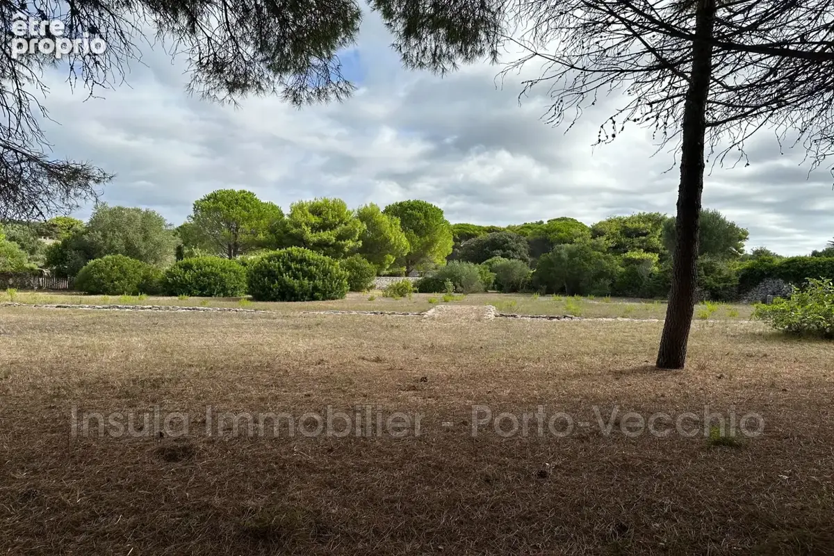 Maison 4 pièces 110 m² à vendre à Bonifacio (20169) - photo 4