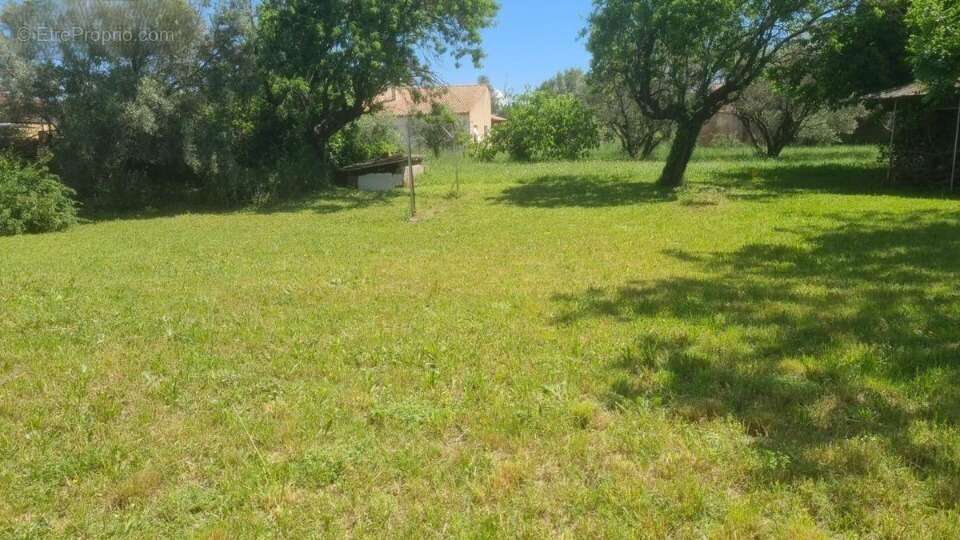 Terrain à PAULHAN