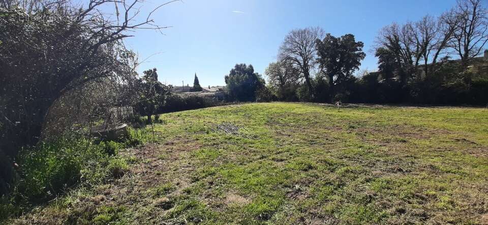 Terrain à PUGET-SUR-ARGENS