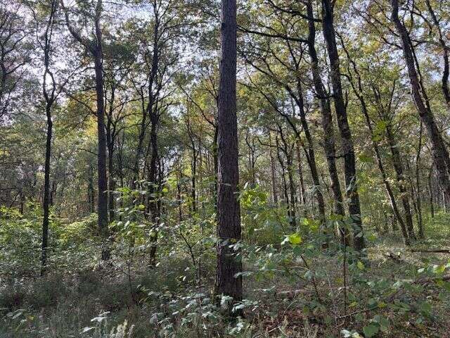 Terrain à VILLEFRANCHE-SUR-CHER