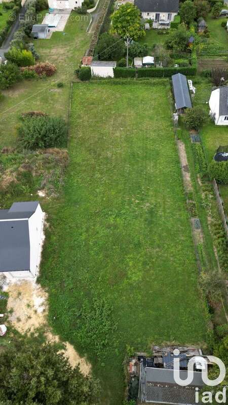 Photo 3 - Terrain à SAVIGNY-EN-VERON