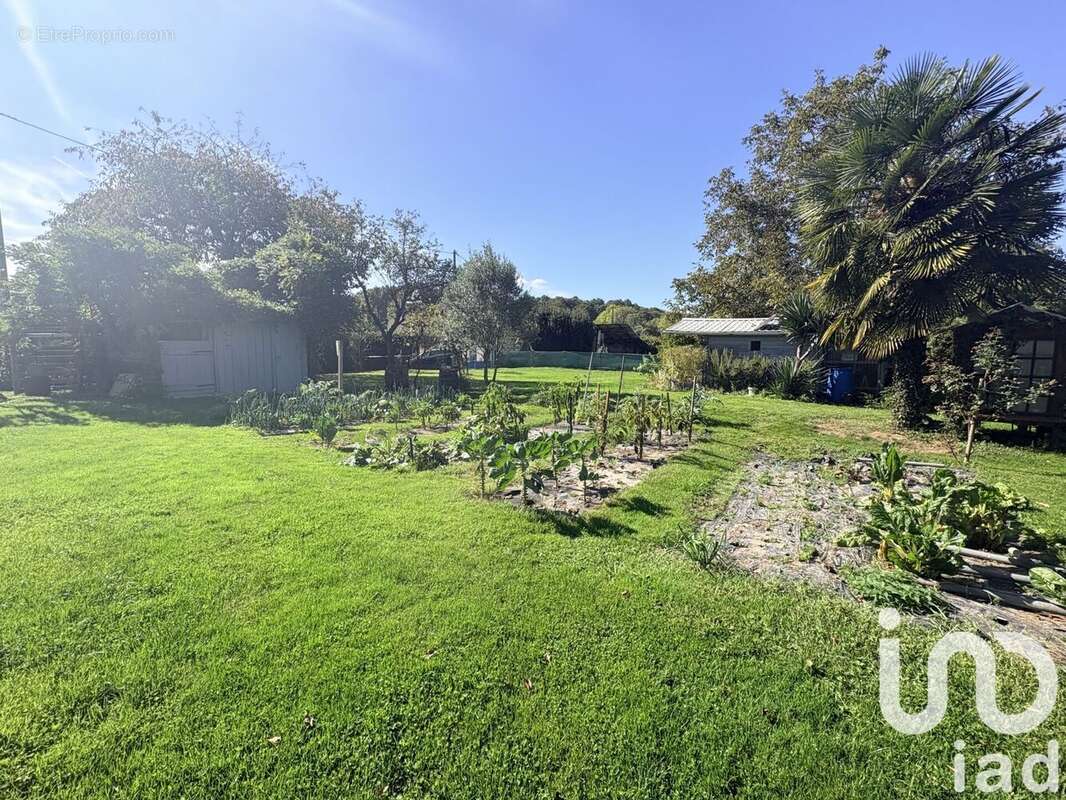 Photo 2 - Terrain à SAINT-MARTIN