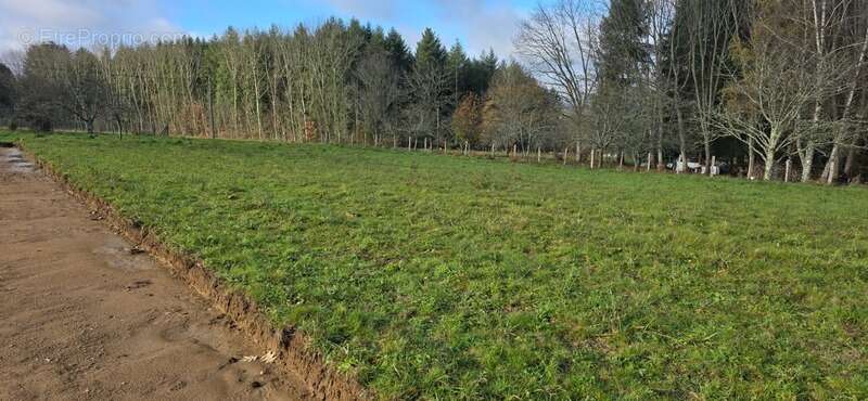 Terrain à LE PALAIS-SUR-VIENNE
