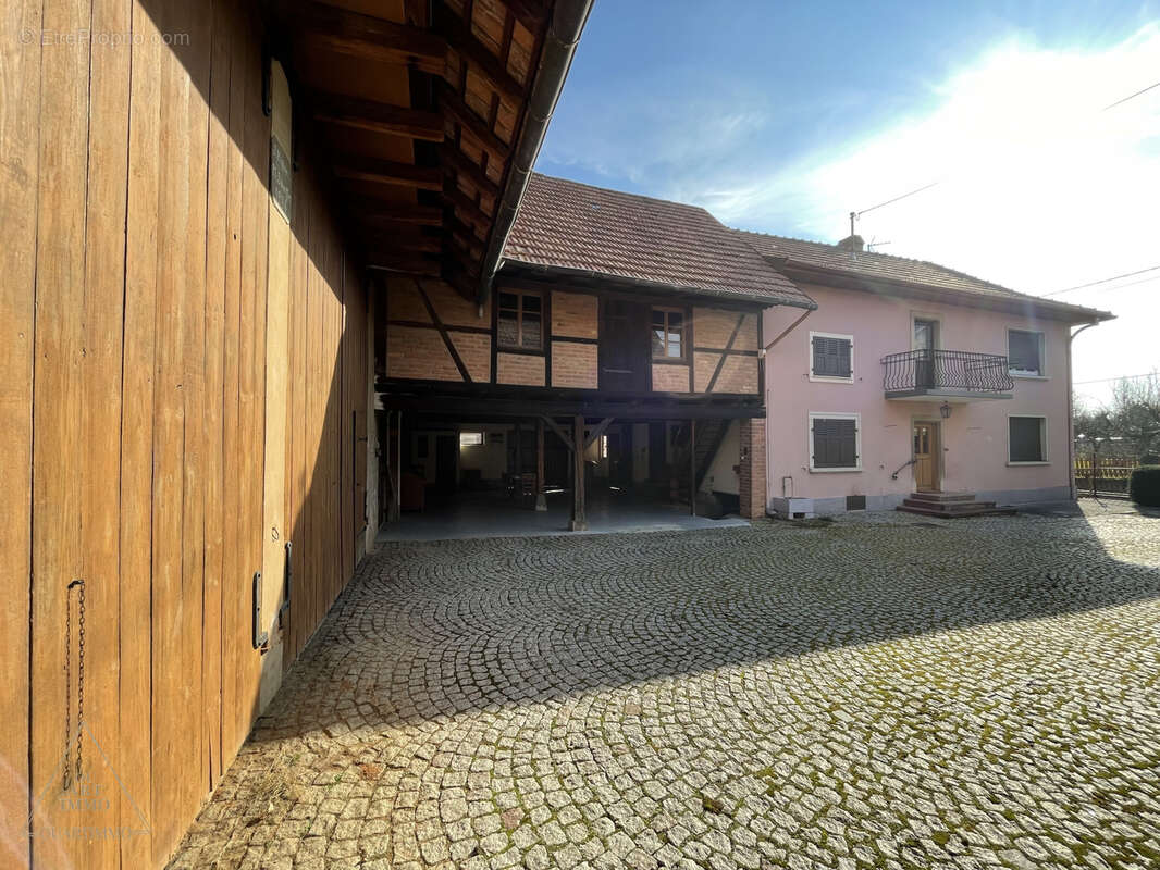 Ensemble immobilier à Mittelhausen - photo 2
