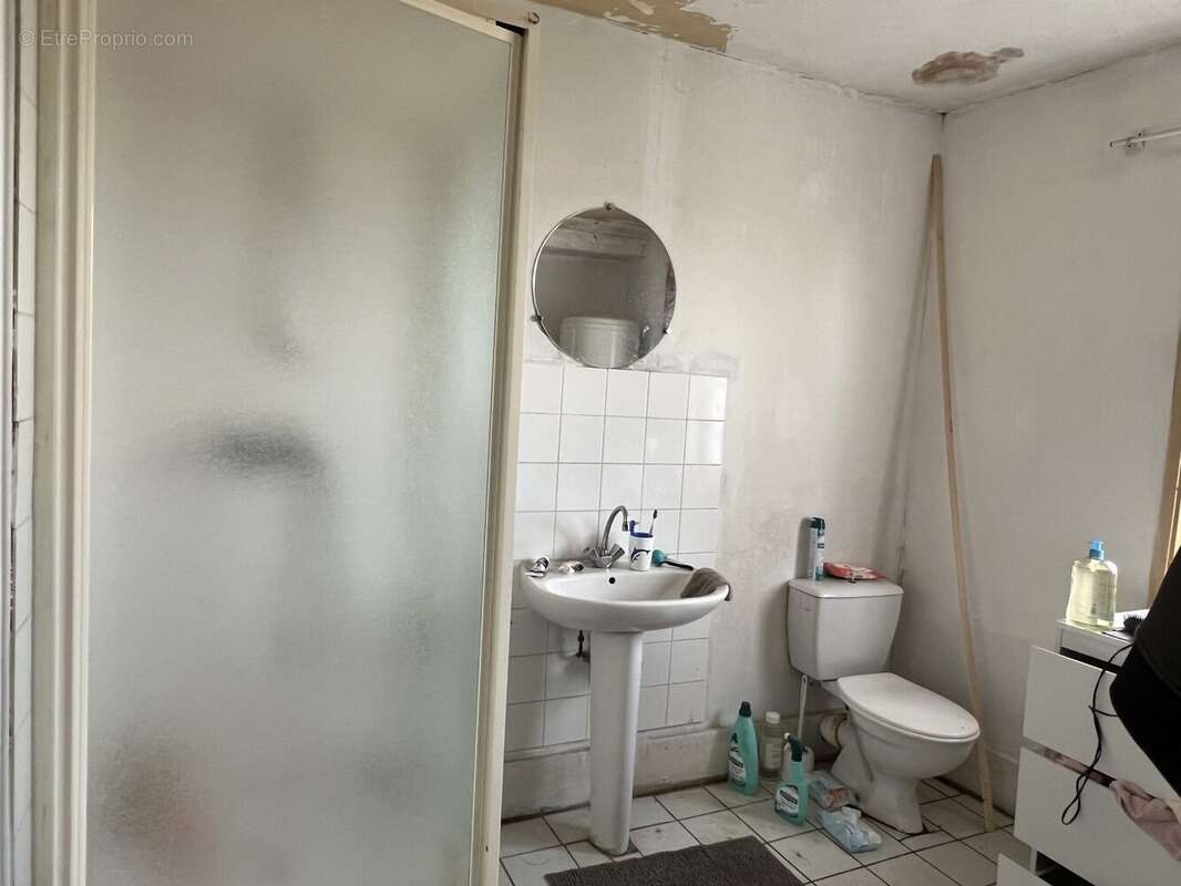 salle d&#039;eau + WC - Maison à LA LANDE-DE-LOUGE