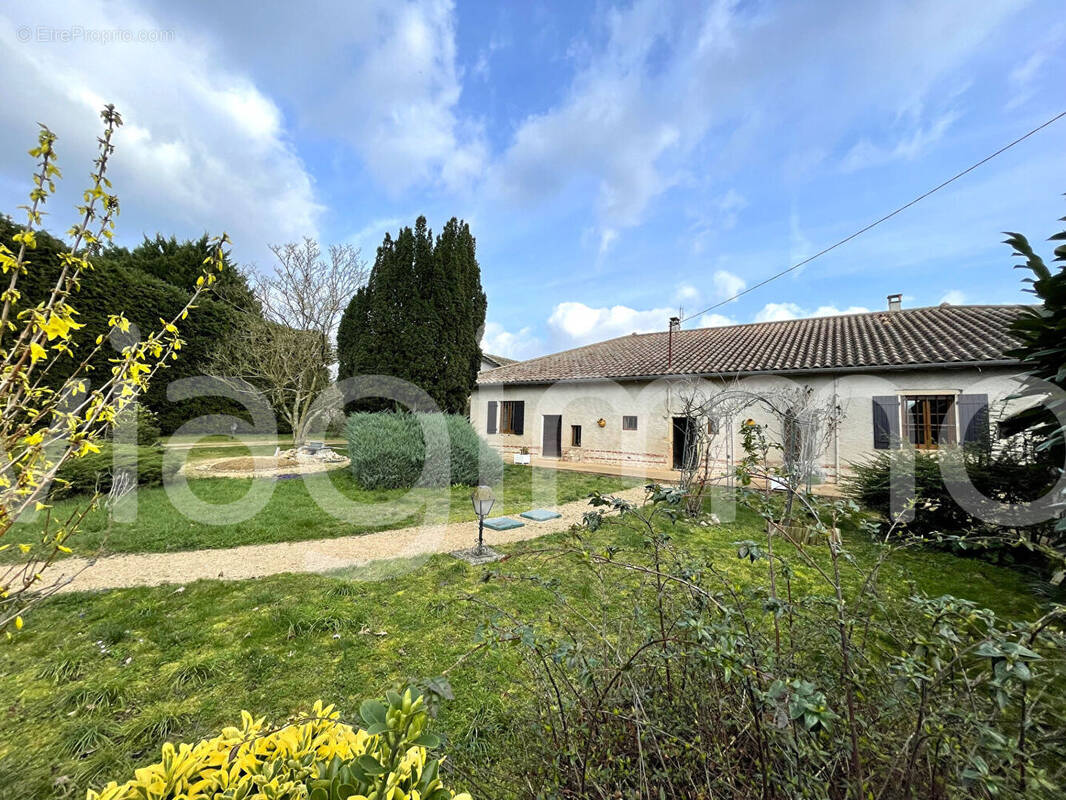 Maison à SAINT-DIDIER-SUR-CHALARONNE