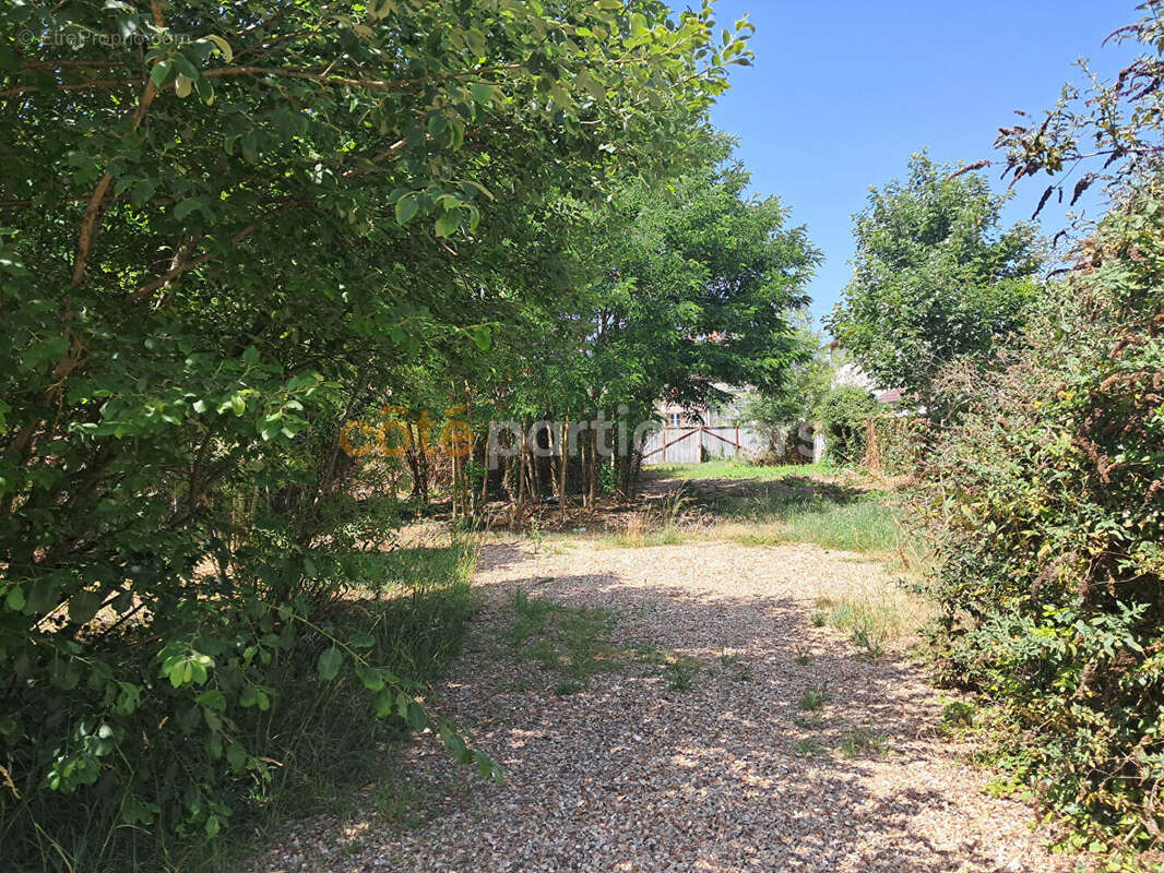 Terrain à MONTARGIS