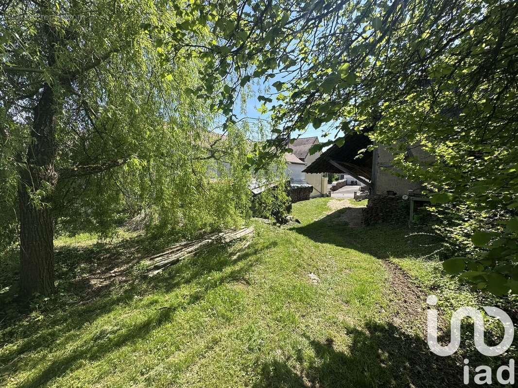 Photo 4 - Maison à PFETTERHOUSE