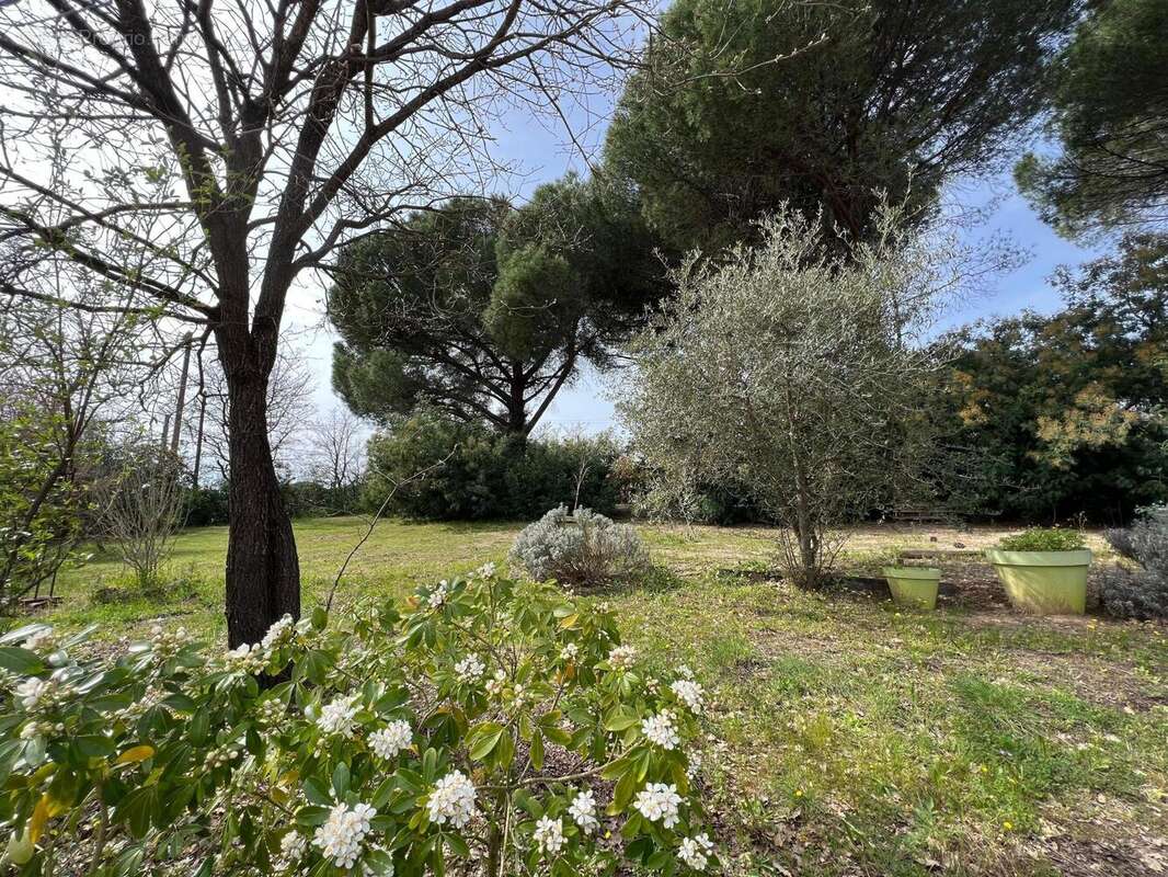 Photo 4 - Maison à VIDAUBAN