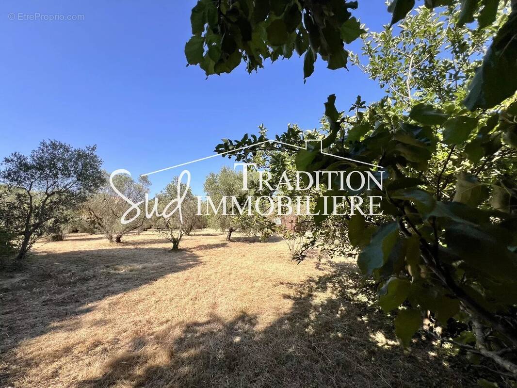 Terrain à PARADOU
