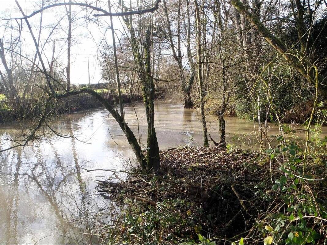 Terrain à AZAY-LE-RIDEAU