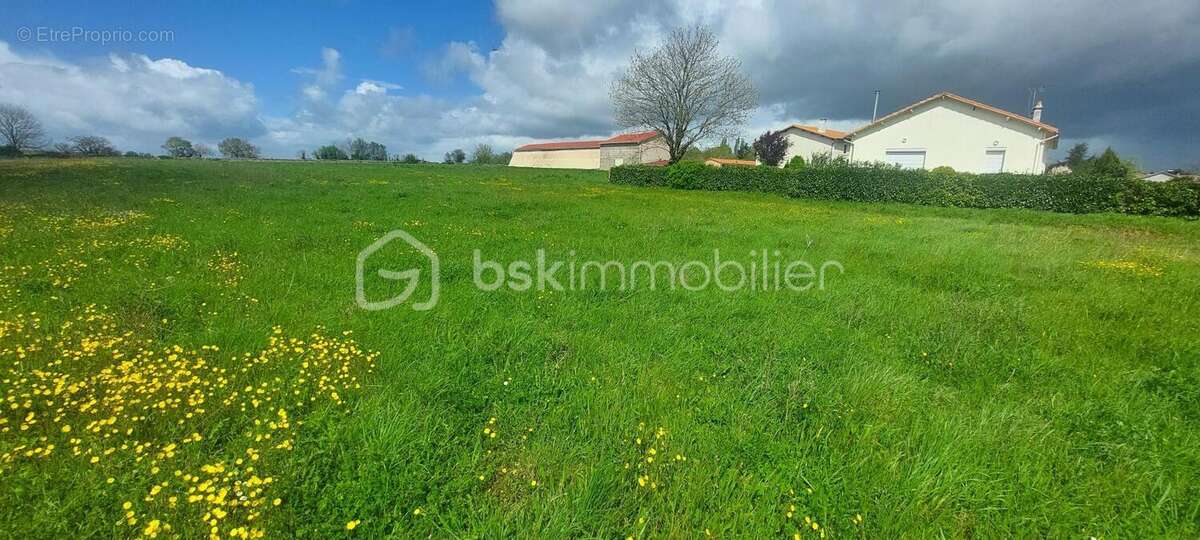 Terrain à bâtir de 4 100 m² - 4 LOGEMENTS minimum – Sainte-Ouenne (79) - photo 4