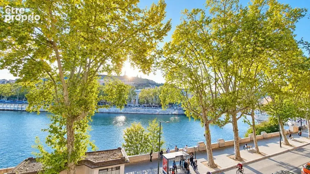 Vue sur la Saône - Appartement de caractère - photo 10