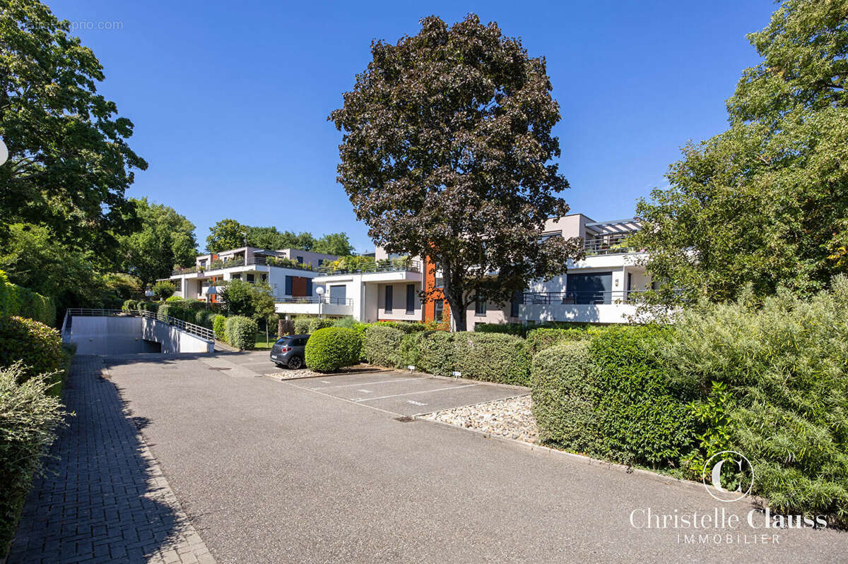 Mont national Obernai  rez de jardin F3 67 m2 - photo 8