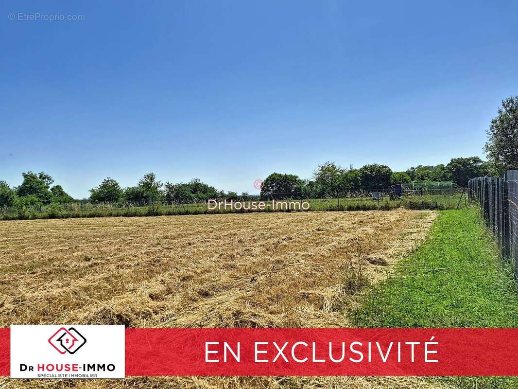 Terrain 1 506 m² à vendre à Brion (89400) - photo 5