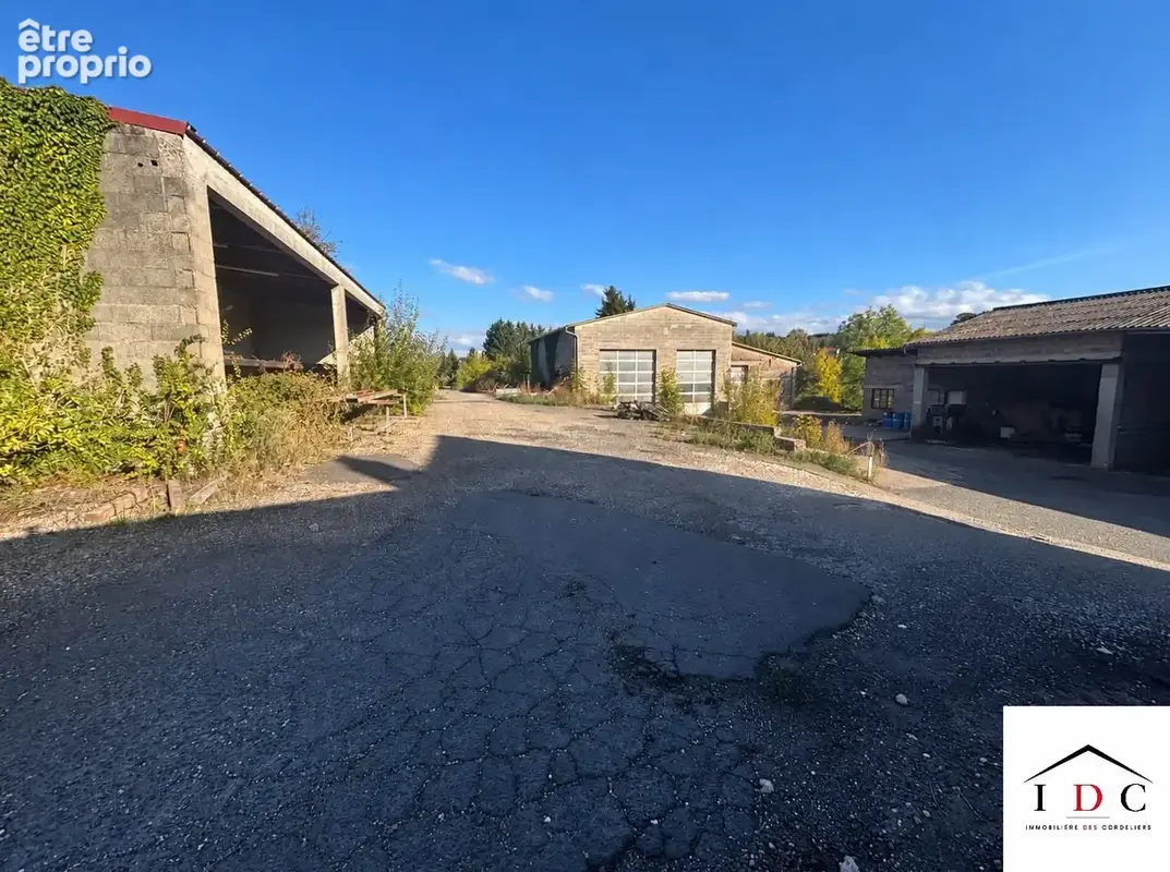 Maison 5 pièces 300 m² à vendre à Sarrebourg (57400) - photo 8