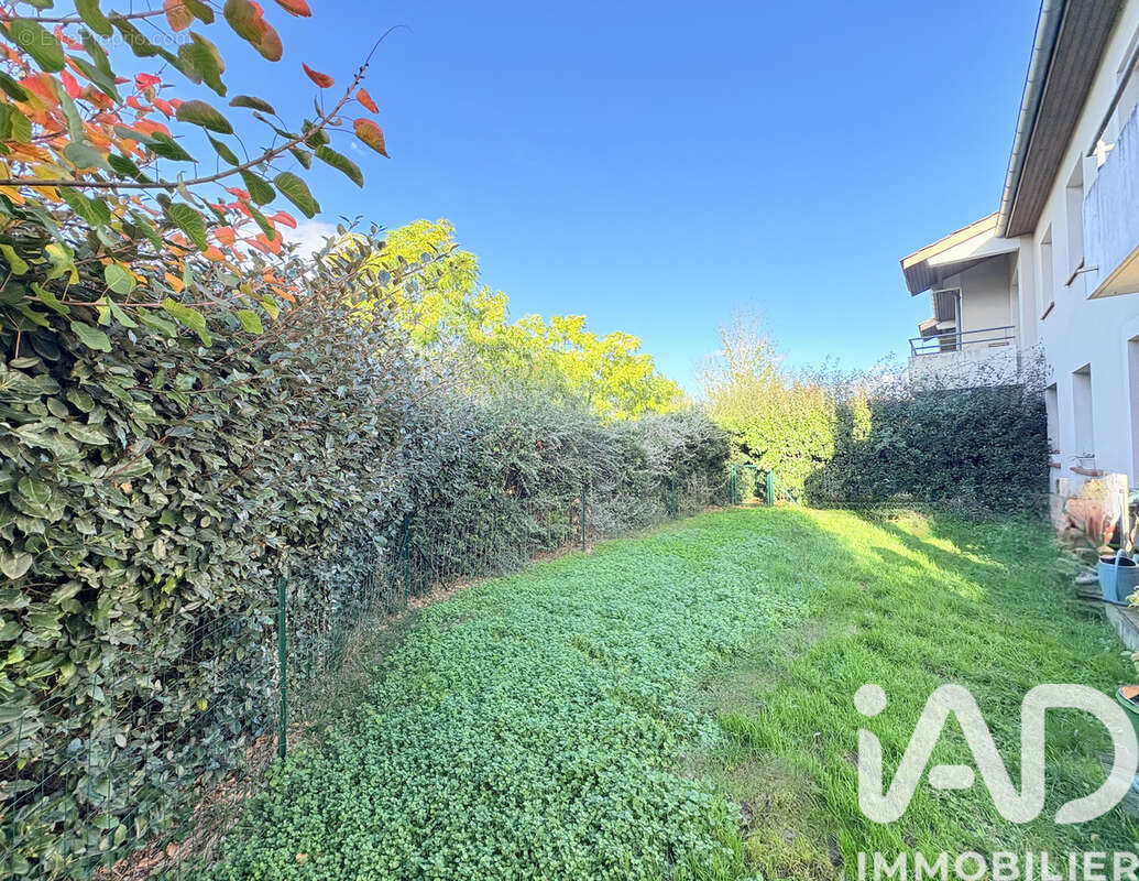 Photo 4 - Appartement à PLAISANCE-DU-TOUCH