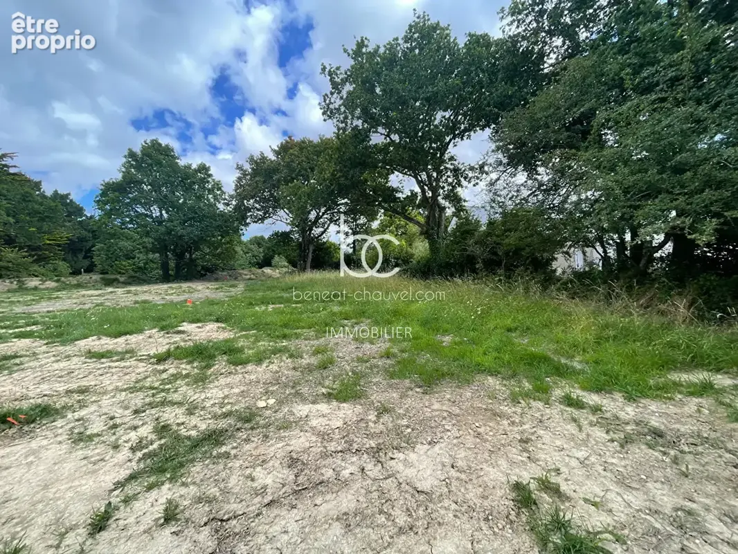 Exclusivité - terrain à bâtir 622 m² - sarzeau banastère - 400m plage océan - photo 2