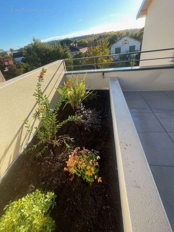 Photo 2 - Appartement à TOULOUSE