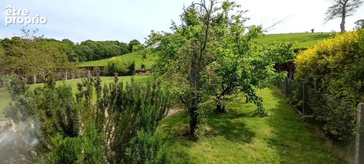 Maison familiale de 5 chambres avec sous-sol complet et terrain arboré - photo 16