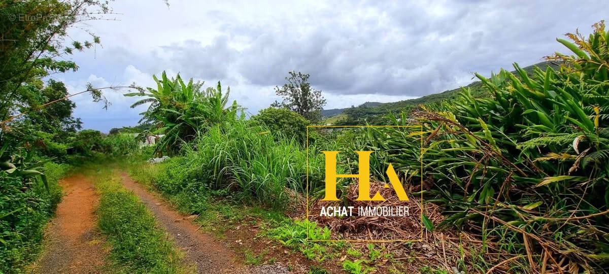 Terrain à SAINT-DENIS