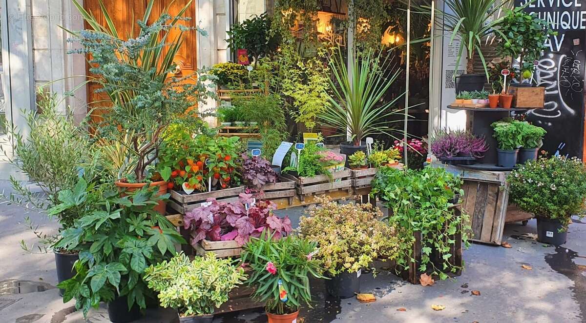 Commerce à PARIS-11E