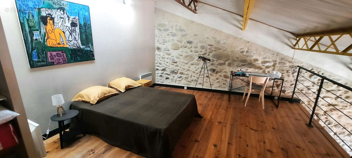 Appartement type loft ceret centre ville 66 vallespir espagne mer montagne - photo 5