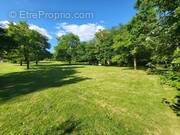 Photo 1 - Terrain à SAINT-VINCENT-SUR-OUST