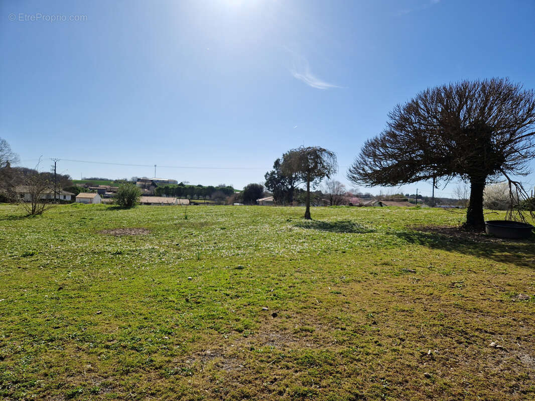 Terrain à CHATEAUNEUF-SUR-CHARENTE