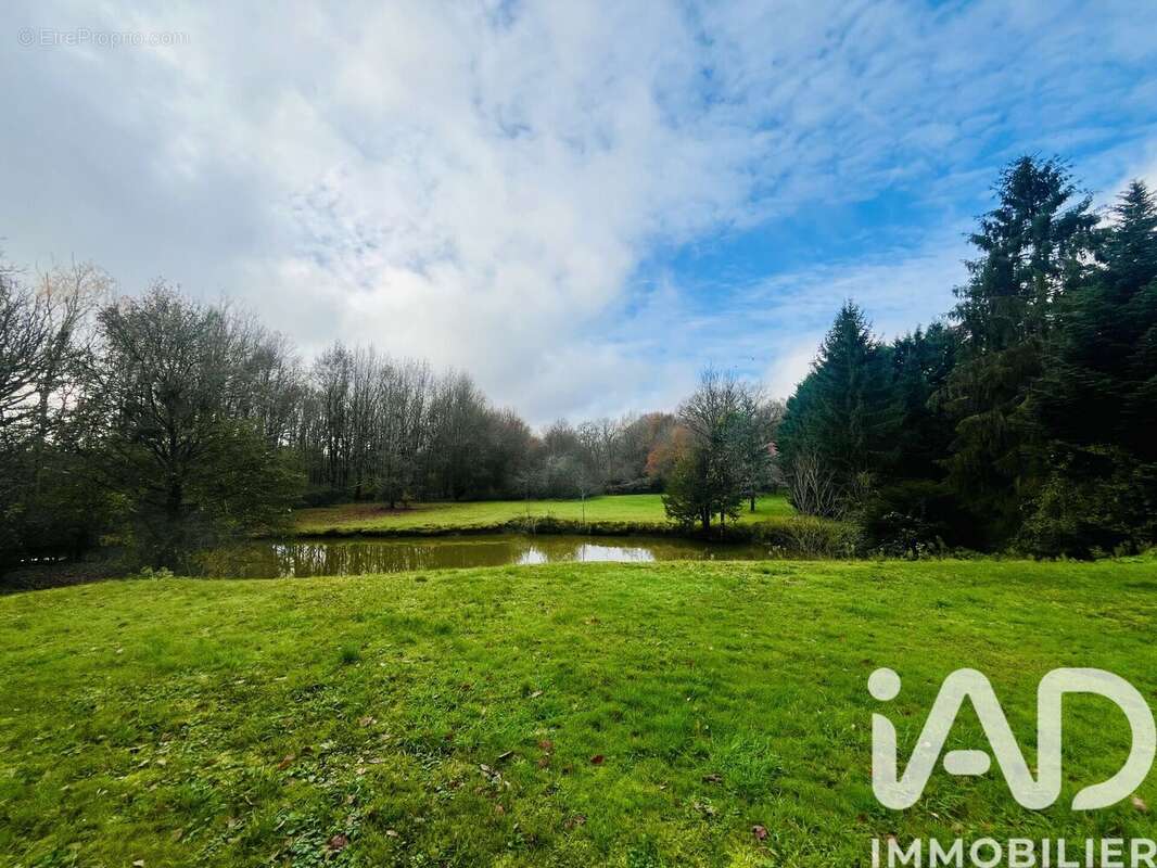 Photo 6 - Maison à SAINT-LAURENT