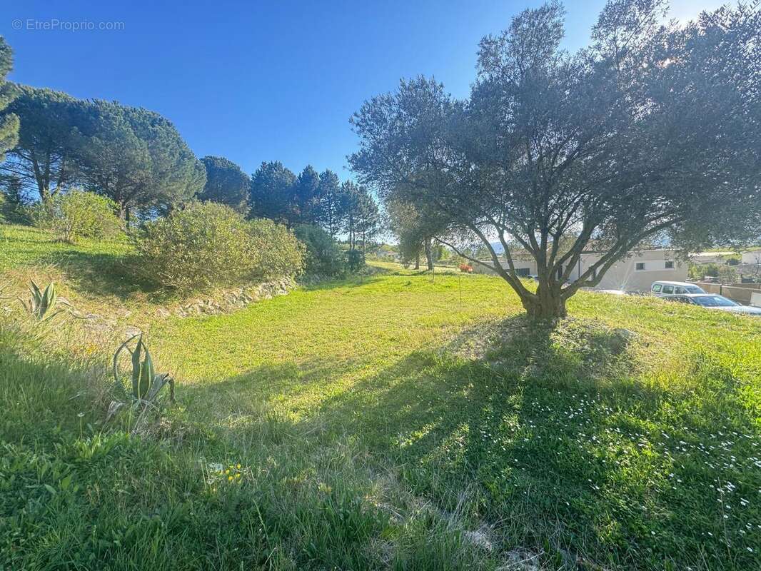 Photo 3 - Terrain à CHATEAUNEUF-SUR-ISERE