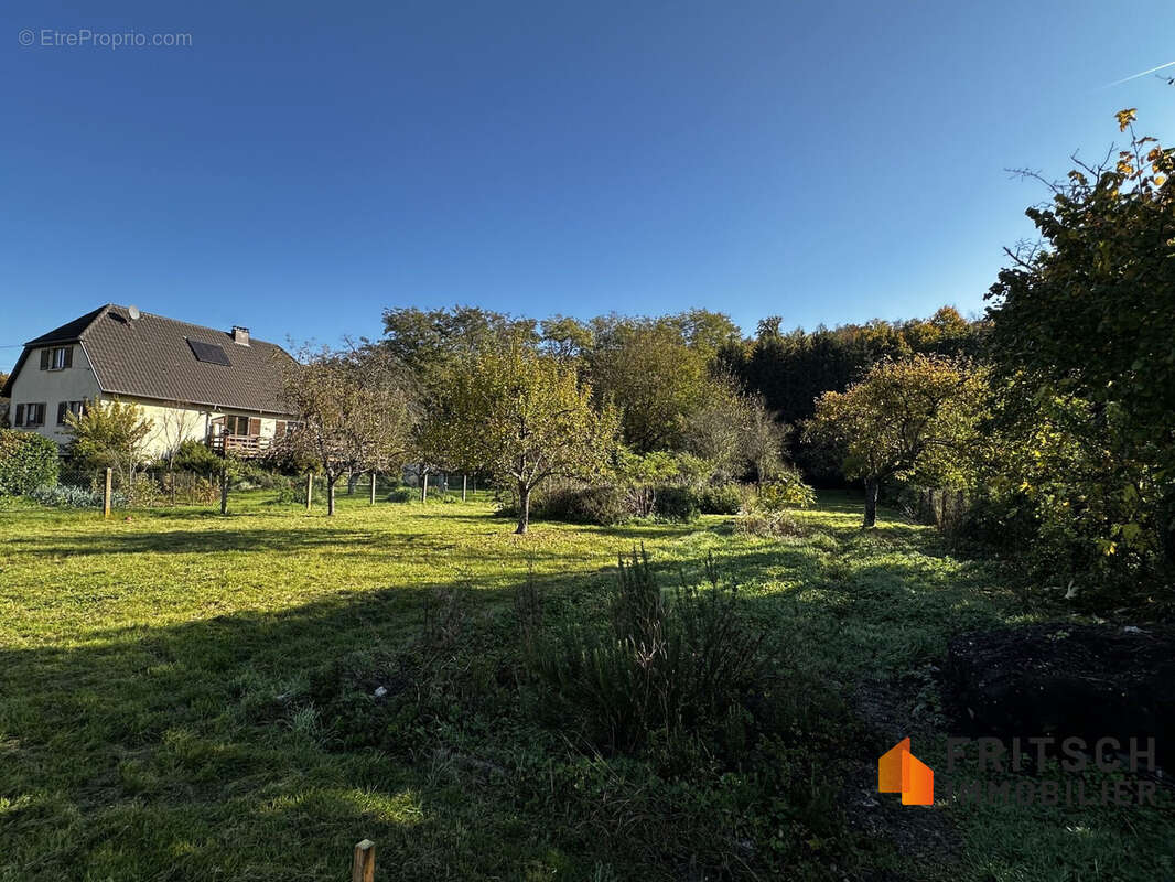 Terrain 1811 m² à Walheim  - photo 2