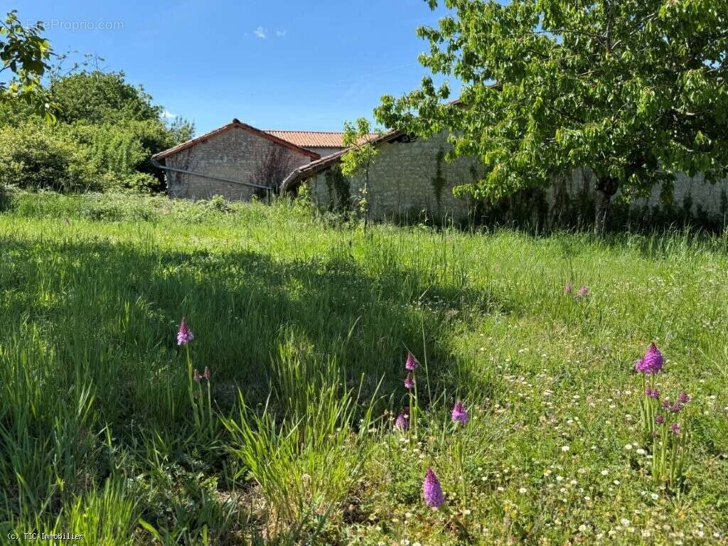 Maison à RUFFEC