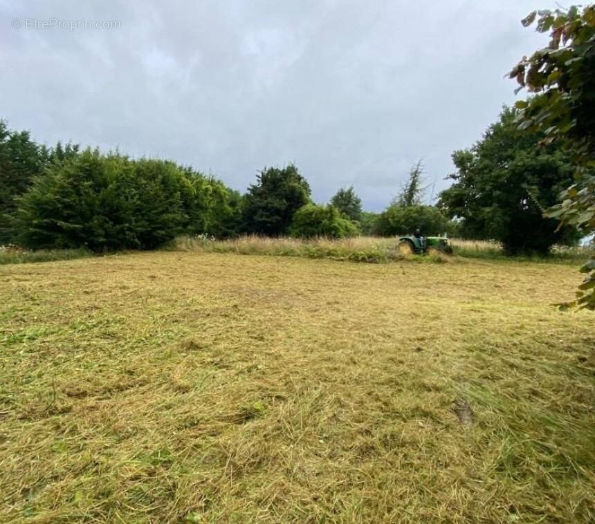 Terrain à VILLERS-SUR-LE-ROULE