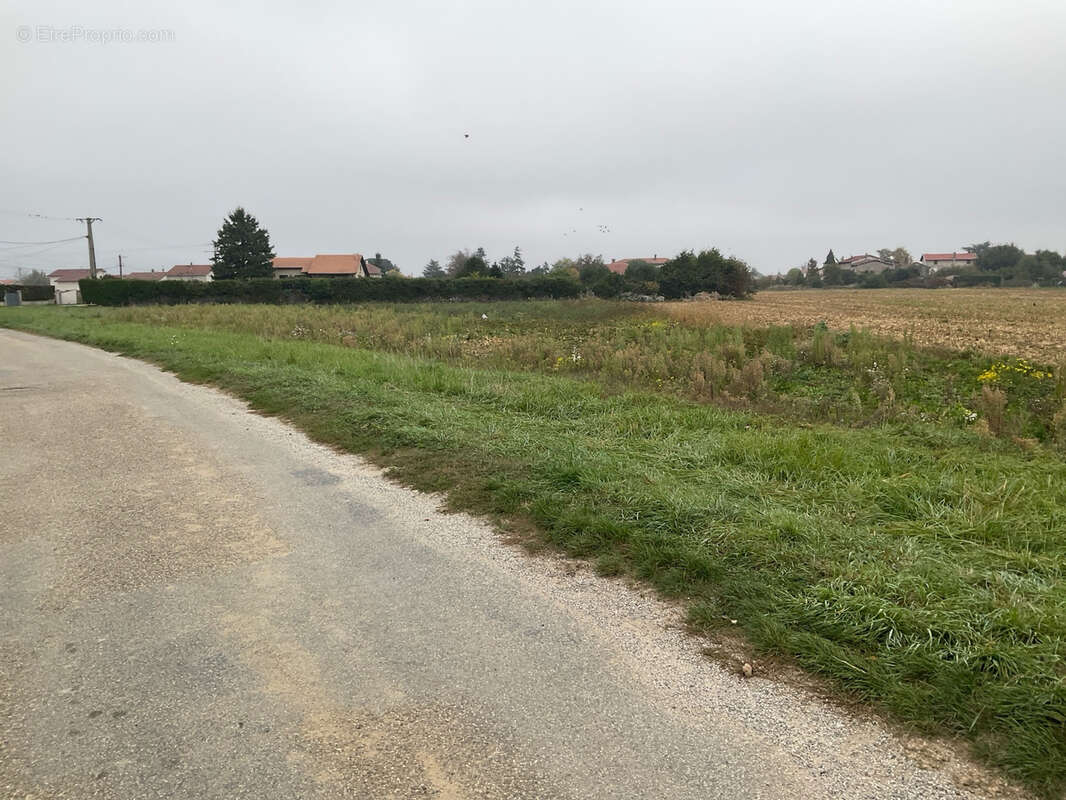 Terrain à SABLONS