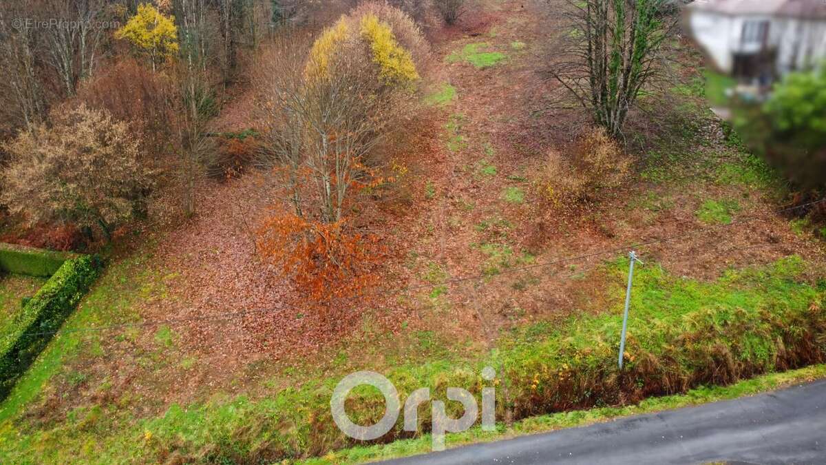 Terrain à AMBAZAC