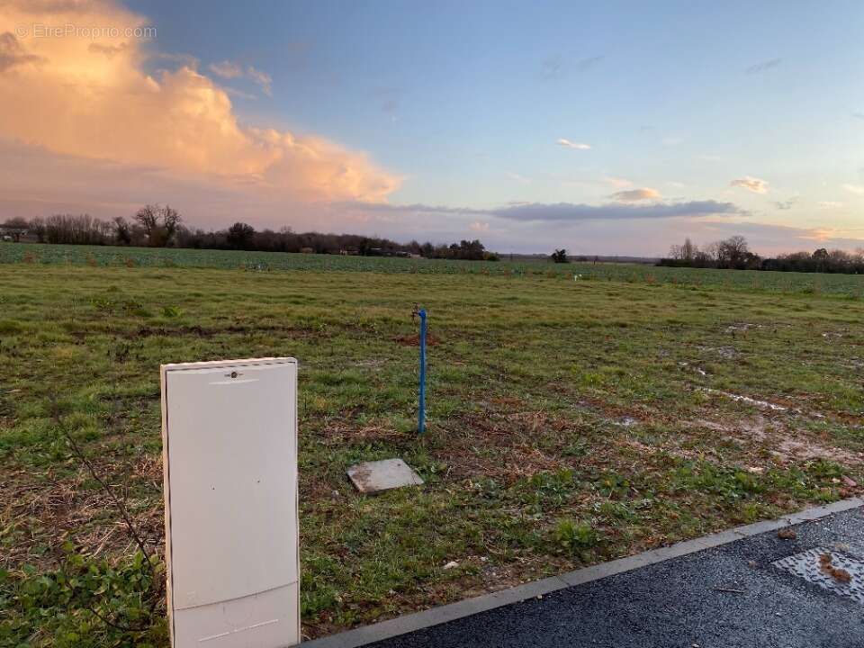 Terrain 341 m² à Ballon  - photo 2