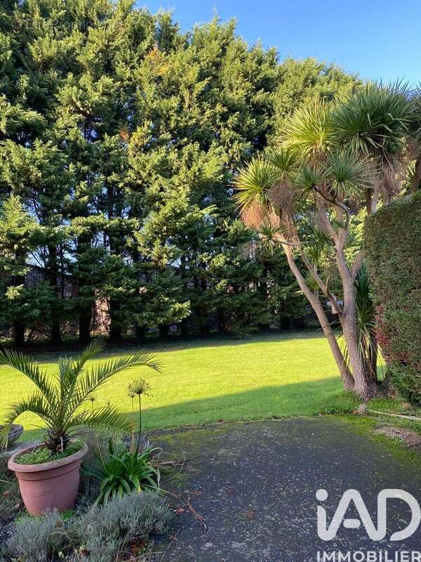 Photo 7 - Maison à PAIMPOL