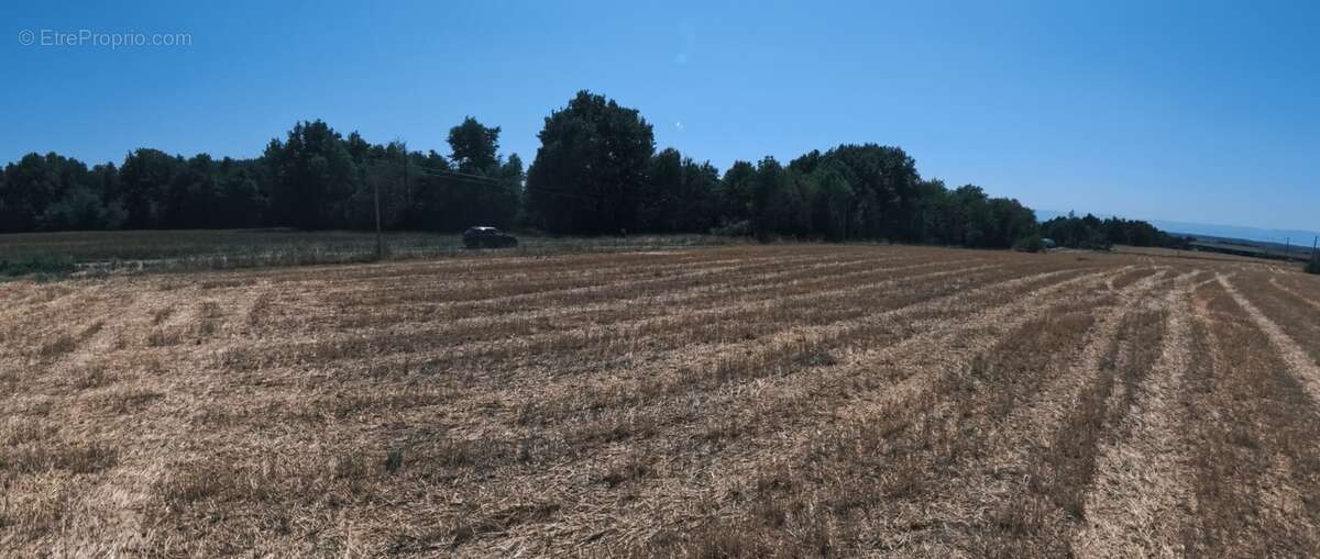 A vendre - Roybon (38940) – 3 parcelles de terrain agricole - photo 6