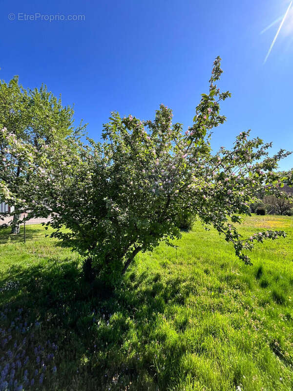Terrain à SORANS-LES-BREUREY