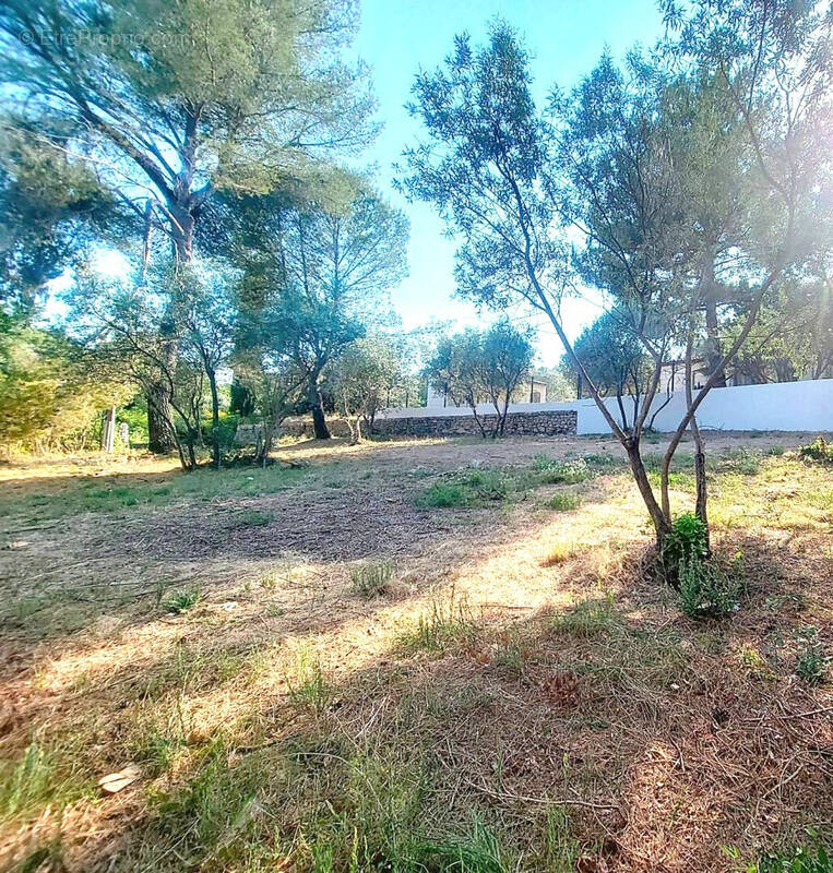 Terrain à DRAGUIGNAN