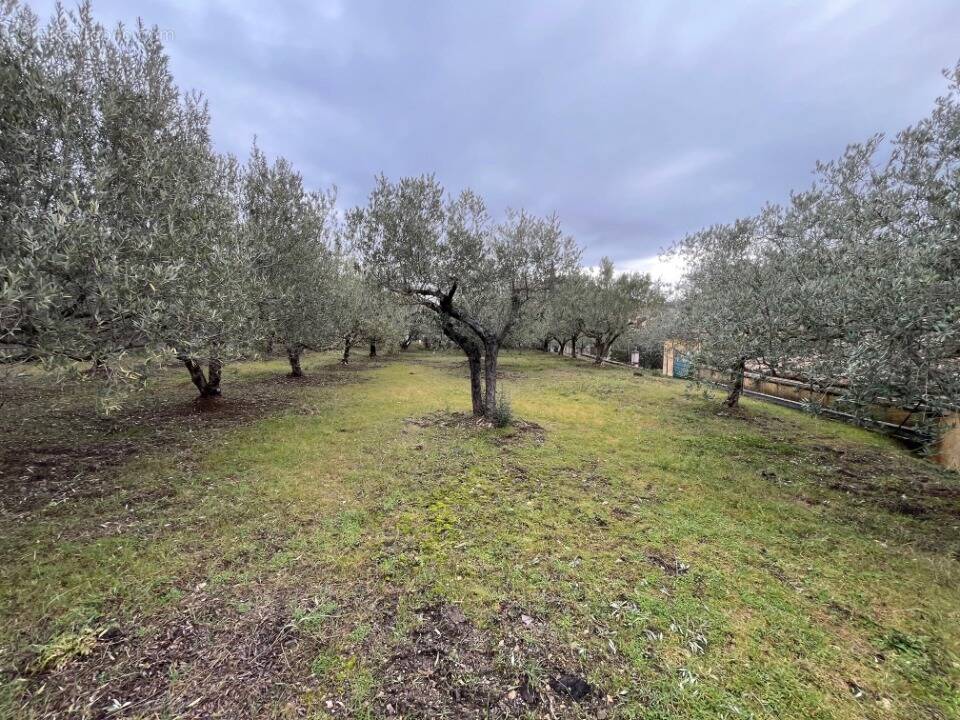 Terrain à MANOSQUE