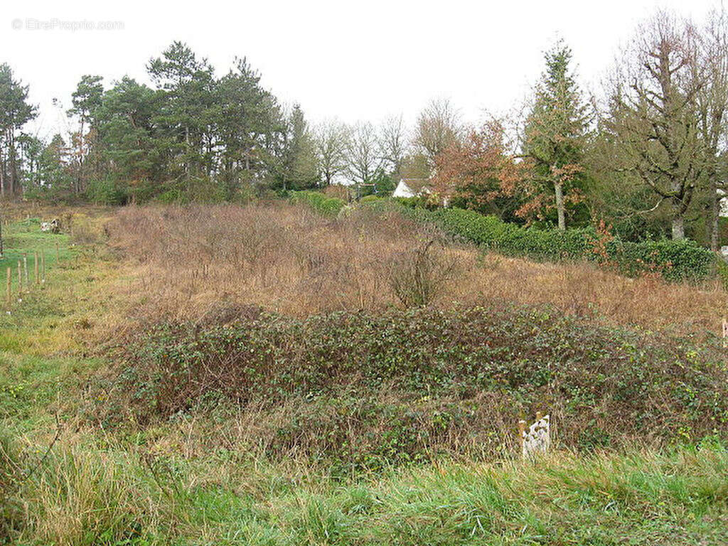 Terrain à bâtir - photo 2