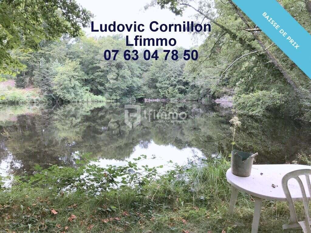 Propriété de charme 210m2, grange, 4ha, 2 étangs - photo 16