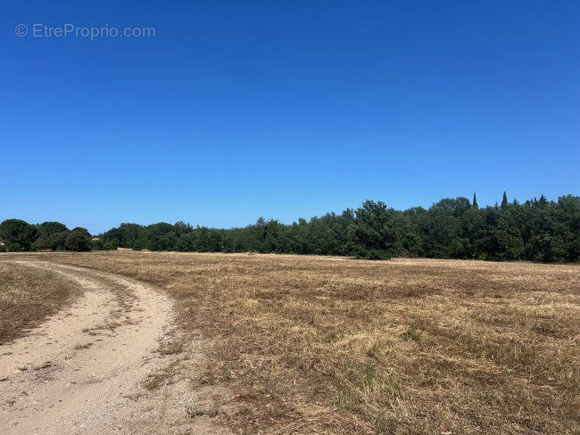 Terrain à THUIR