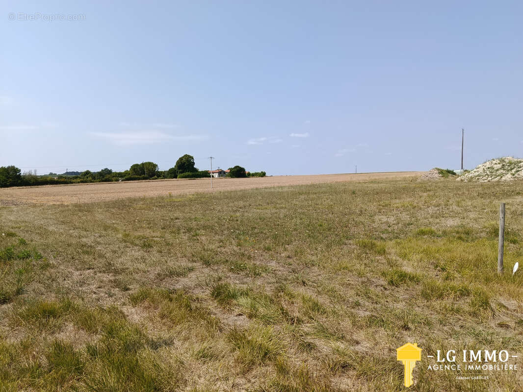 Terrain constructible entre Mirambeau et Montendre - photo 3
